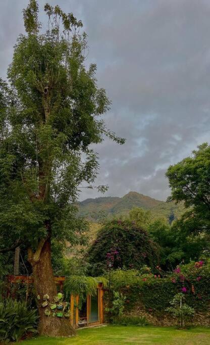 Casa De Los Angeles En El Centro Villa Malinalco Eksteriør bilde